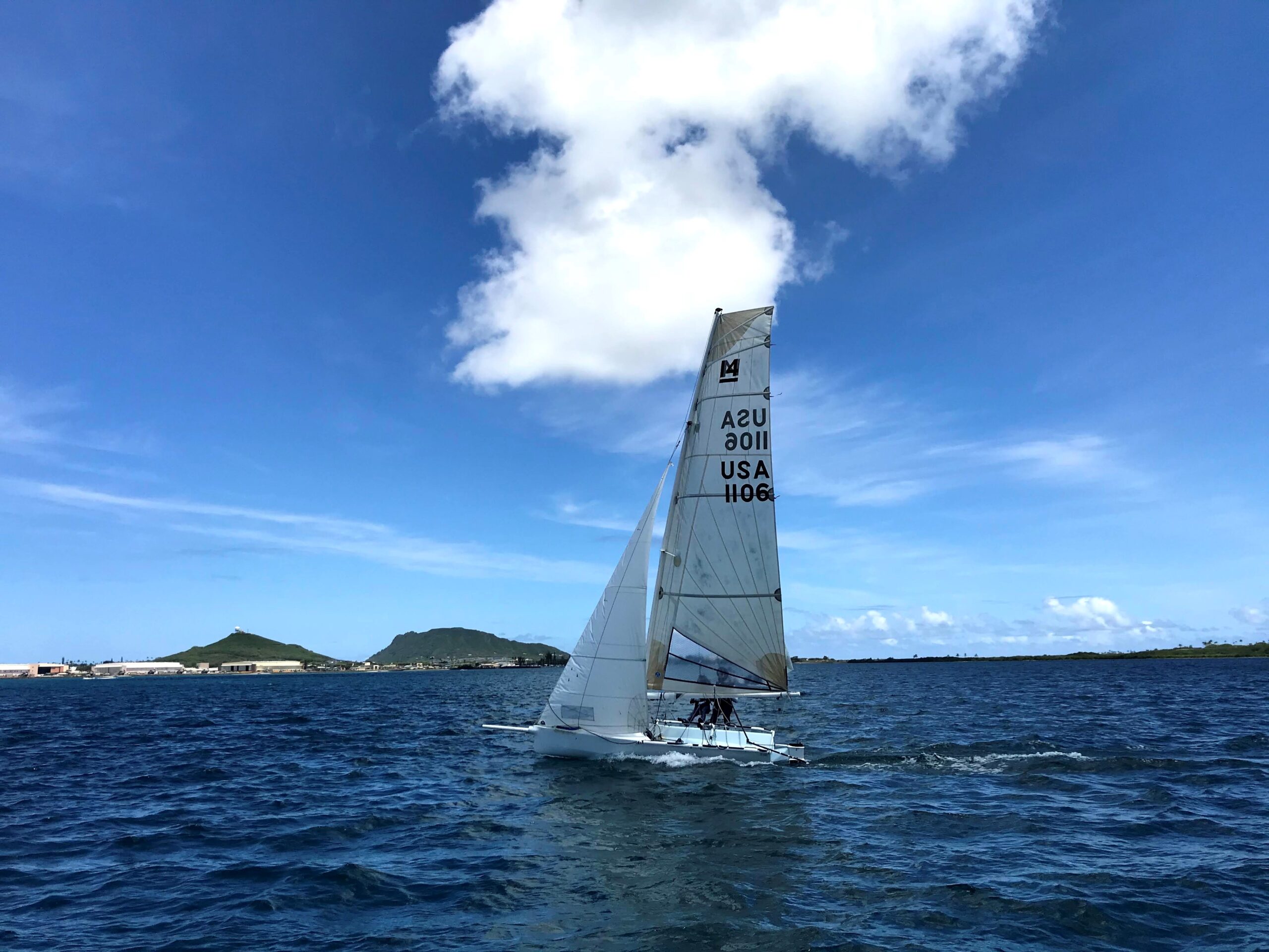 USA 1106 – Malolo – SOLD