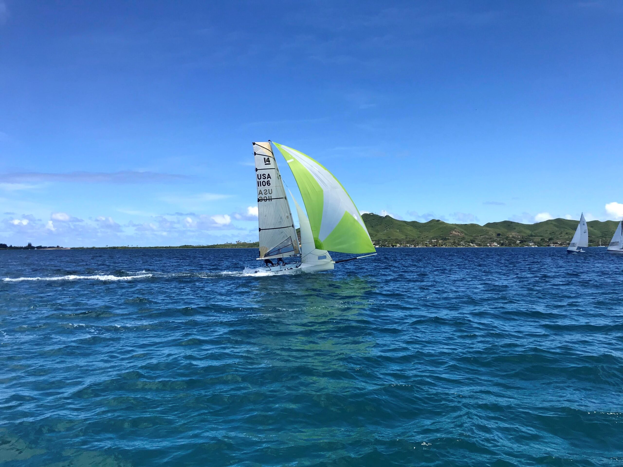 USA 1106 – Malolo – SOLD